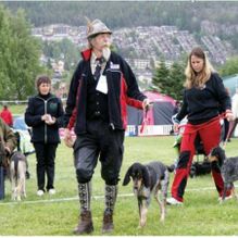 Harehundfestivalen i Drammen 2012