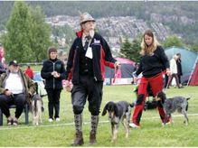 Harehundfestivalen i Drammen 2012