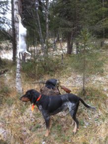 Don Ikaros med hare etter en vellykket dag i skogen!